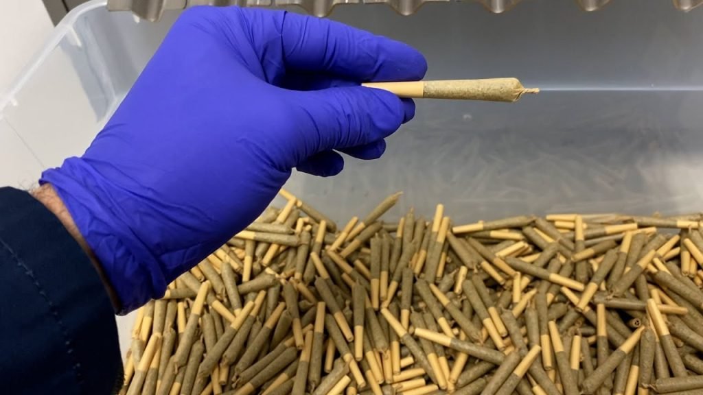 pre-rolled joints